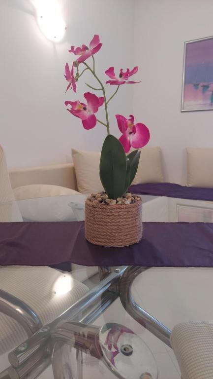 Apartments Mestral Baška Voda Dış mekan fotoğraf
