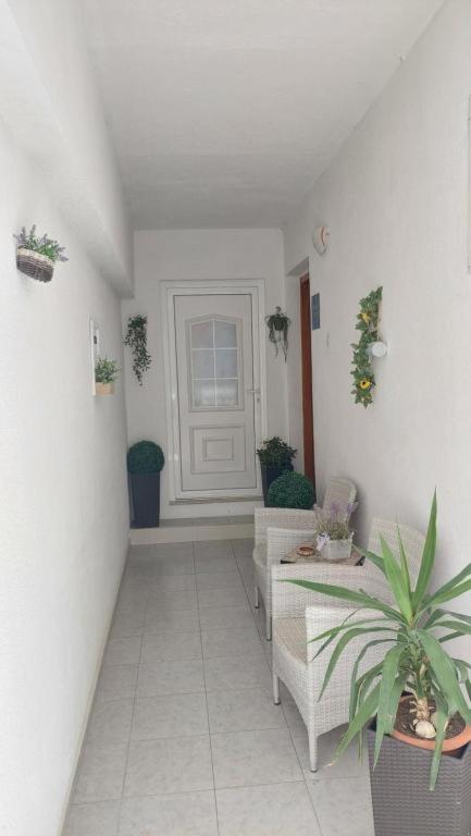Apartments Mestral Baška Voda Dış mekan fotoğraf